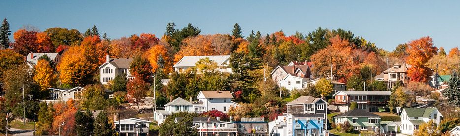 a view of houses near Big Sound Marina, surrounded by trees in their fall colours