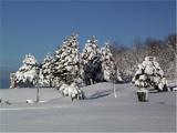 Photo2