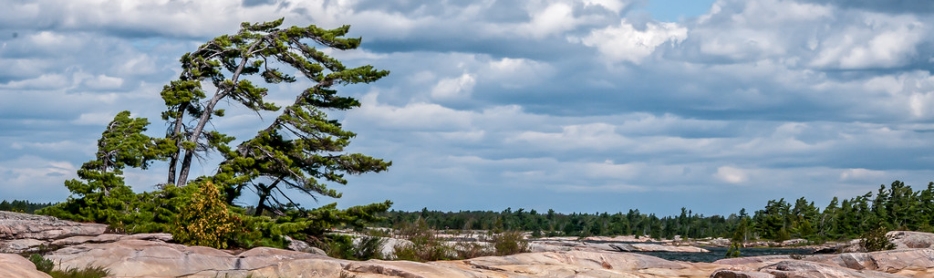 Our Outdoors  Town of Parry Sound