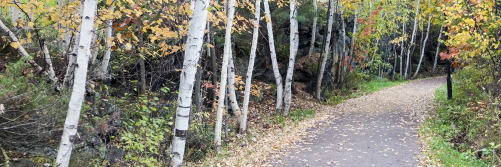 Trails Town of Parry Sound